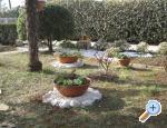 Apartman Irena