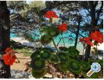Robinzonski turizam Lavdara Dominis - Zadar Hrvatska