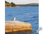 Robinzonski turizam Lavdara Dominis - Zadar Hrvatska