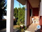 Sunny Apartments