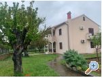 Apartmny BLUE - Zaton Chorvtsko
