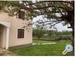 Apartmny BLUE - Zaton Chorvtsko