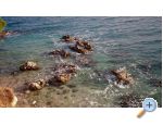 Apartmani Andrija - ivogoe Hrvatska