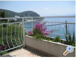 Apartmny Milii - ivogoe Chorvatsko