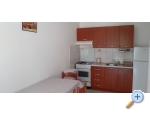 Apartmny Darija - uljana  Peljeac Chorvatsko