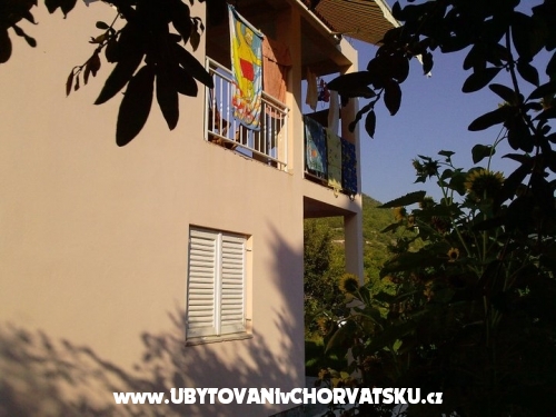 Apartmny Darija - uljana  Peljeac Chorvtsko