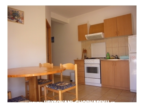 Apartmny Darija - uljana  Peljeac Chorvtsko