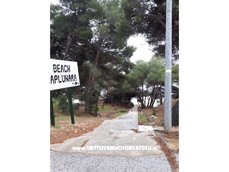 Appartements Malac – Ferienwohnung Insel Mljet, Kroatien – Foto 15