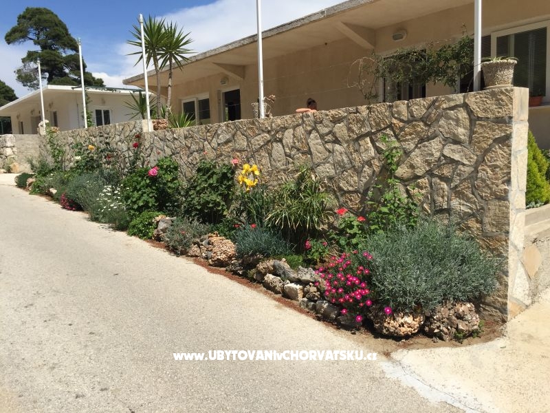 Appartements Malac – Ferienwohnung Insel Mljet, Kroatien – Foto 16