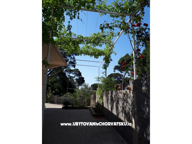 Appartements Malac – Ferienwohnung Insel Mljet, Kroatien – Foto 17