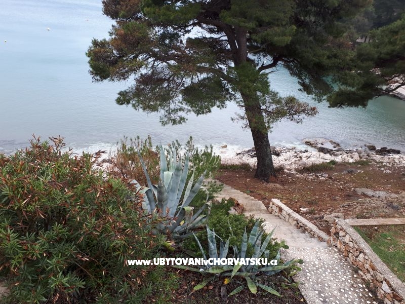 Appartements Malac – Ferienwohnung Insel Mljet, Kroatien – Foto 7