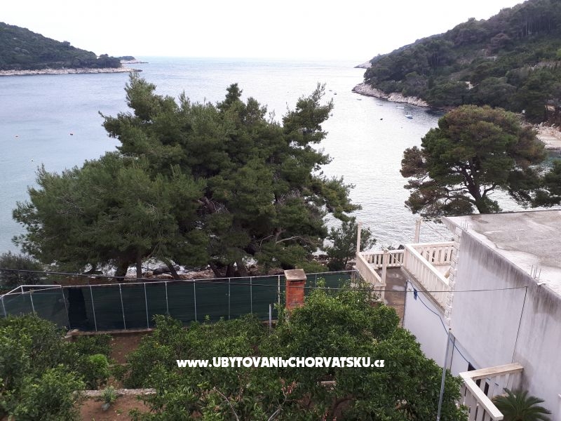 Appartements Malac – Ferienwohnung Insel Mljet, Kroatien – Foto 8