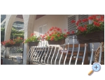 Appartements Ivo Mljet - ostrov Mljet Kroatien