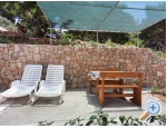 Appartements Ivo Mljet - ostrov Mljet Kroatien