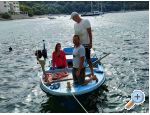 Appartements Ivo Mljet - ostrov Mljet Croatie