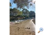 Appartements Ivo Mljet - ostrov Mljet Croatie