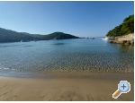 Appartements Ivo Mljet - ostrov Mljet Croatie