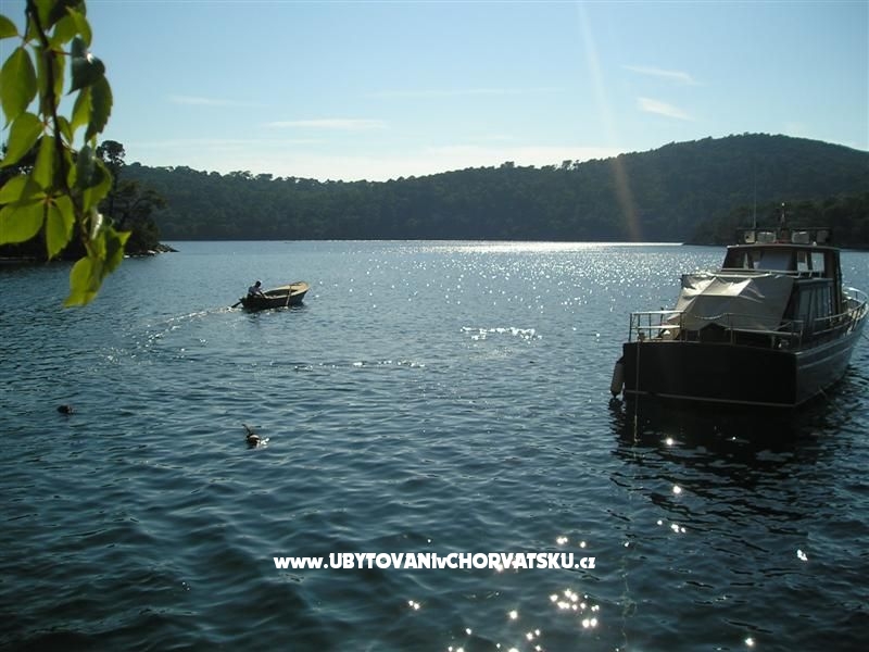 Appartement Lara – Ferienwohnung Insel Mljet, Kroatien – Foto 5