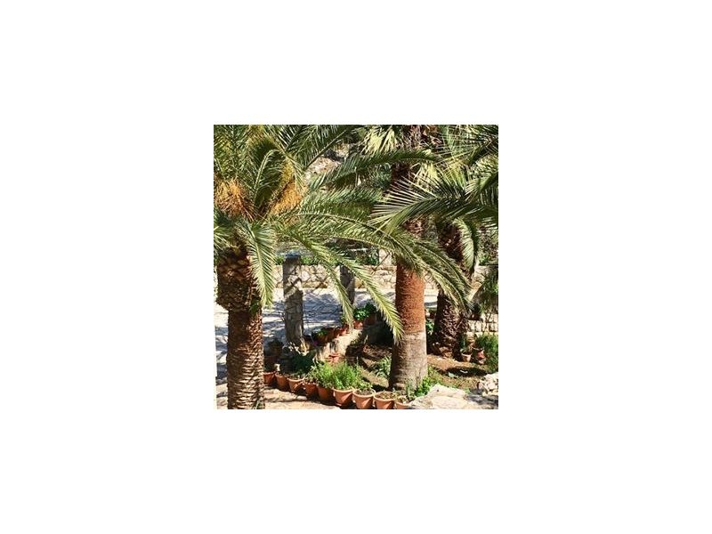 Appartements Radulj – Ferienwohnung Insel Mljet, Kroatien – Foto 11