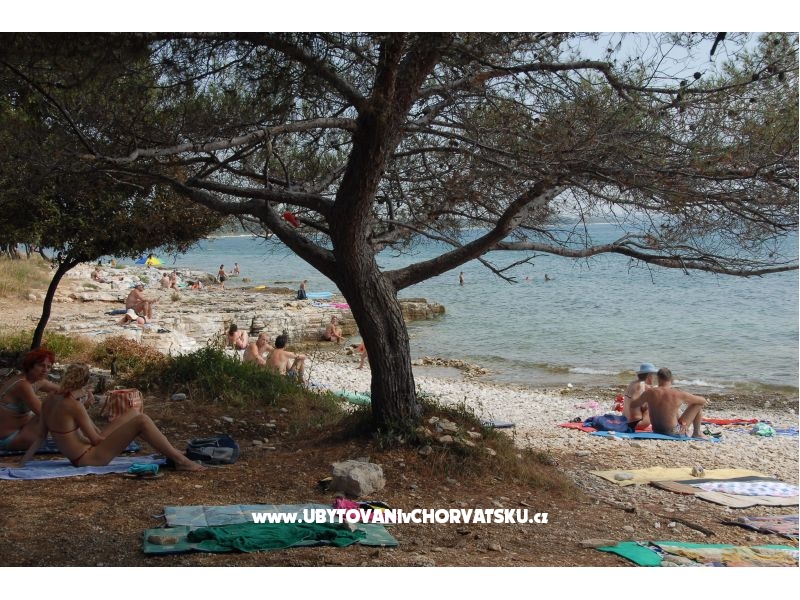 Appartement Perla – Ferienwohnung Barbariga, Kroatien – Foto 17