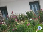 Ana Appartements - Baka Voda Croatie
