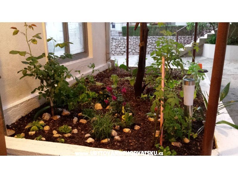 Apartment ANTON – Ferienwohnung Baska Voda, Kroatien – Foto 3