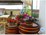 Accommodation Ventus - Baka Voda Croatie