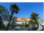 Appartements dominovic-Mladinov - Baka Voda Croatie