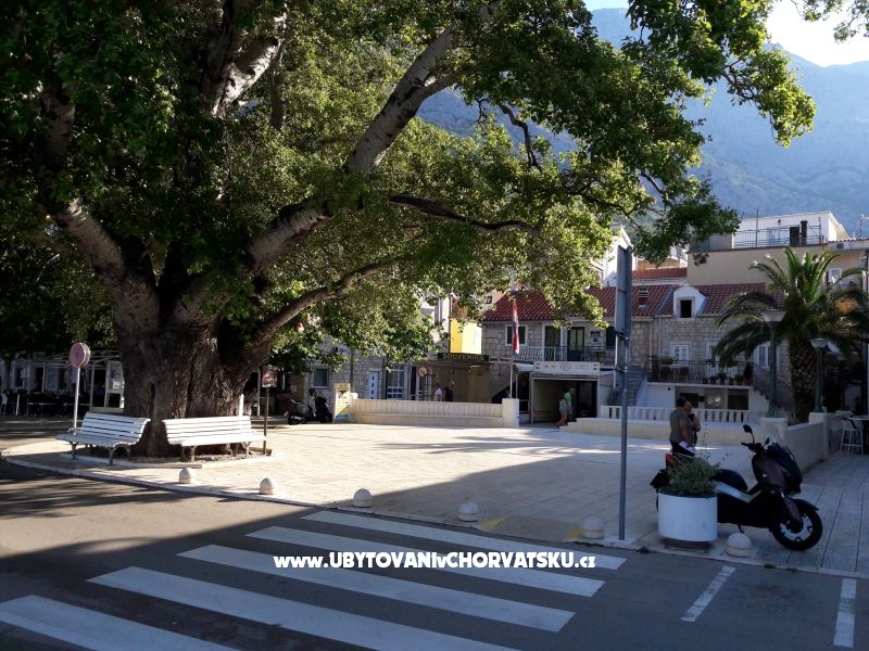 Appartements Melinda – Ferienwohnung Baska Voda, Kroatien – Foto 9