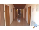 Appartements Obala - Baka Voda Kroatien