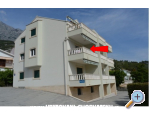 Appartements Tara - Baka Voda Kroatien