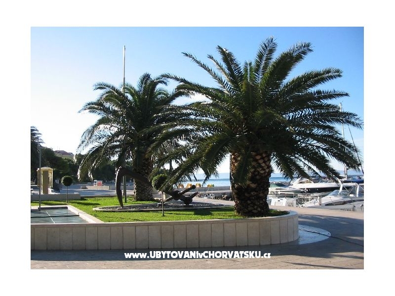 Zuzana Sikavica – Ferienwohnung Baska Voda, Kroatien – Foto 12