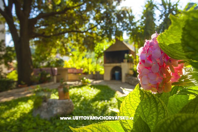 Family Beroš Friendly Place – Ferienwohnung Baska Voda, Kroatien – Foto 1