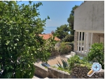 APARTMANI Saric K i M - Baka Voda Kroatien