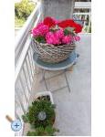 APARTMANI Saric K i M - Baka Voda Croatie