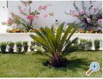 Villa Ana - Baka Voda Hrvaka