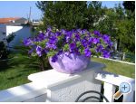 Villa Ana - Baka Voda Hrvaka