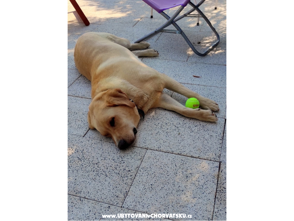 Villa Gabi - Baška Voda Kroatien