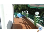 Villa Izabela - Baka Voda Kroatien