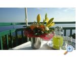 Villa Izabela - Baka Voda Croatie