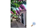 Apartmaji Jeina - Betina Hrvaka