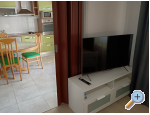 Apartmn PAVLA - Betina Chorvatsko