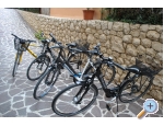 Bibinje Ferienwohnungen Cinthija - Bibinje Kroatien