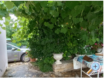 Bibinje Ferienwohnungen Cinthija - Bibinje Kroatien