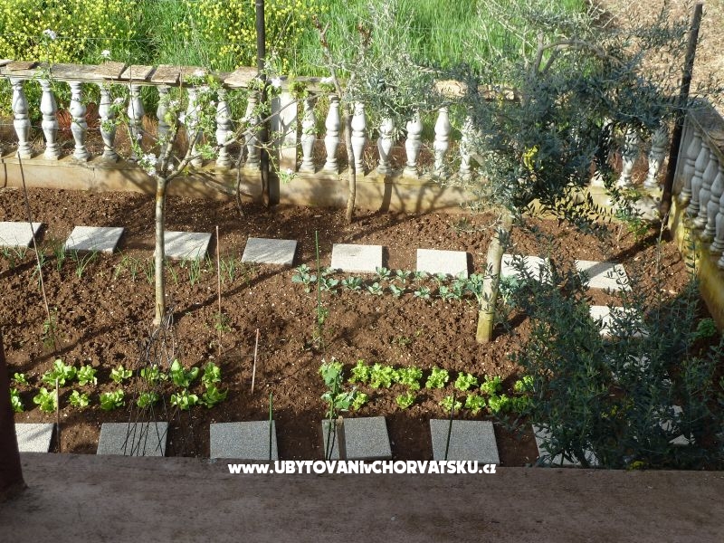 Apartment Petar i Agica Sabljak – Ferienwohnung Bibinje, Kroatien – Foto 14