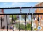 Appartements Tino - Bibinje Kroatien