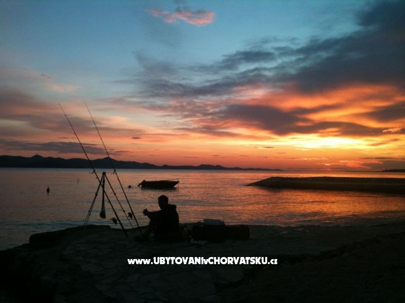 Appartements Bralić – Ferienwohnung Bibinje, Kroatien – Foto 18