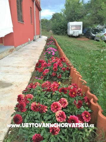 Appartements Gabrijel – Ferienwohnung Bibinje, Kroatien – Foto 3