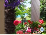 Appartements i sobe Sandra - Bibinje Kroatien