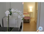 Appartements Karin - Bibinje Kroatien